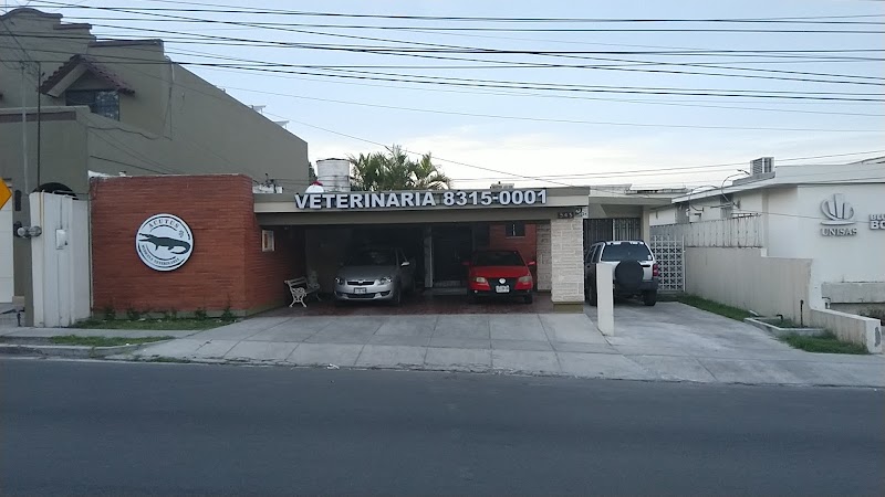Acutus Medicina Veterinaria