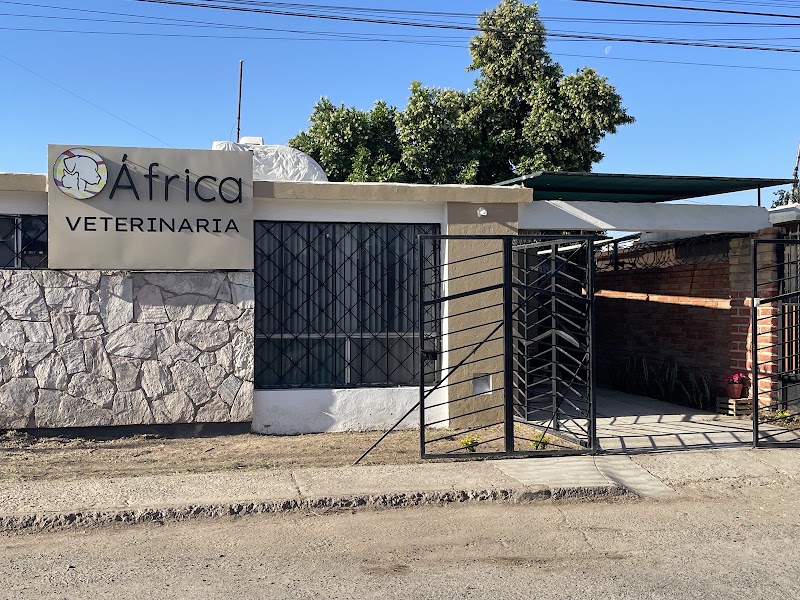 África Veterinaria