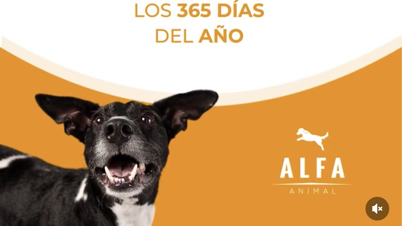 Alfa Animal Hospital Veterinario