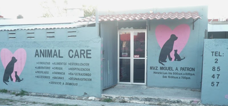 Animal Care Clínica Veterinaria