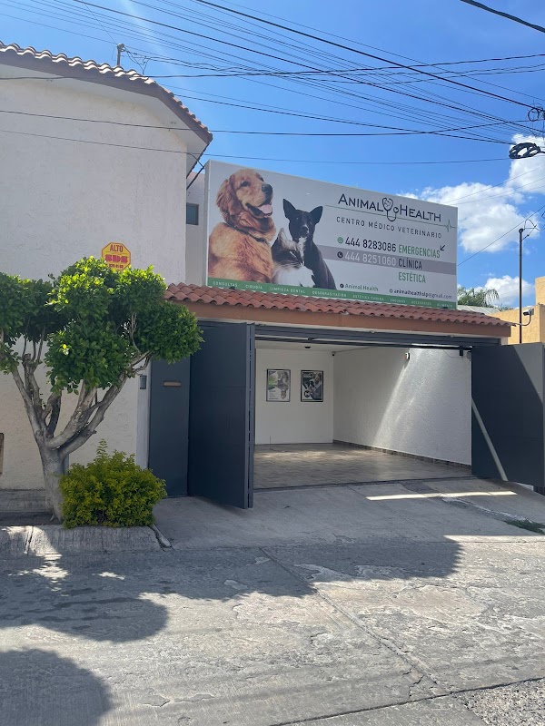 Animal Health