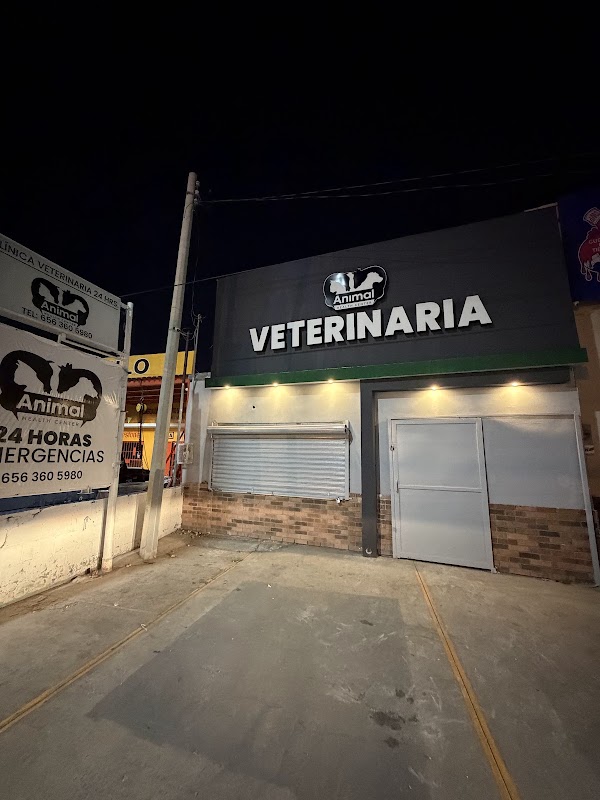 Animal Health Vet
