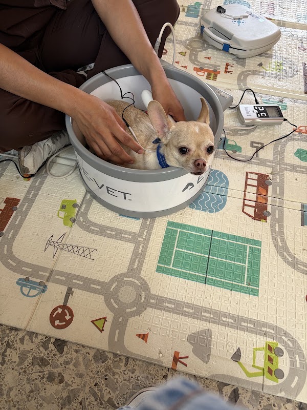 ANIMAL TERAPI clínica de fisioterapia veterinaria