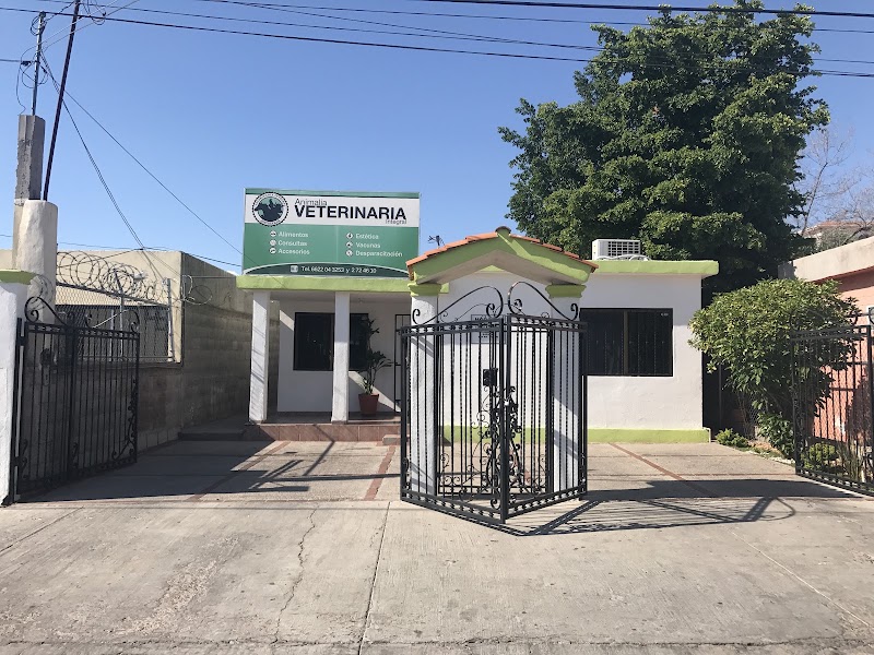 Animalia Veterinaria Integral