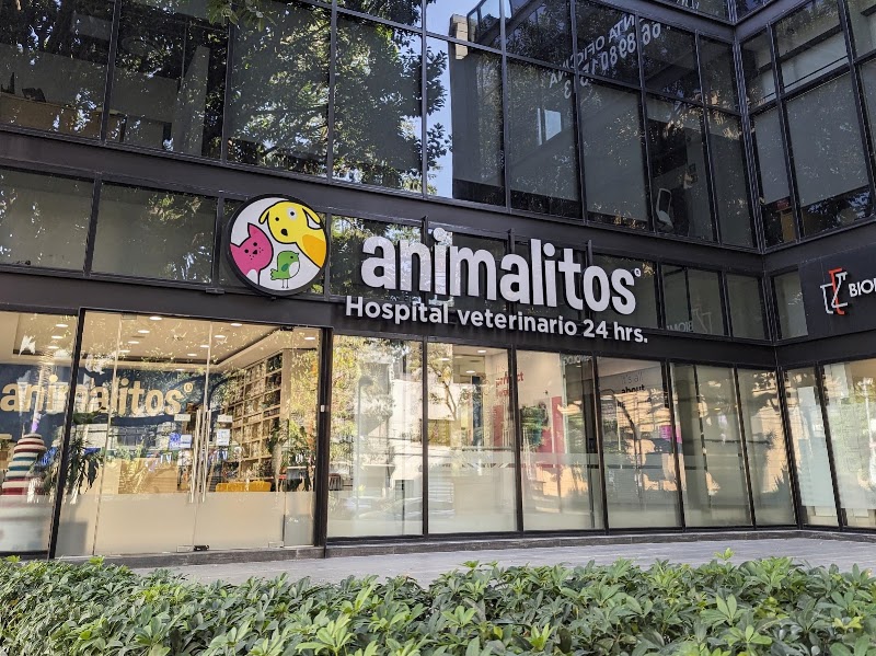 Animalitos Hospital Veterinario 24 horas Polanco