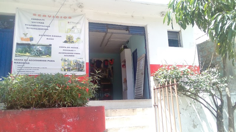 ANIMALOSFERA VETERINARIA Y ESTETICA CANINA