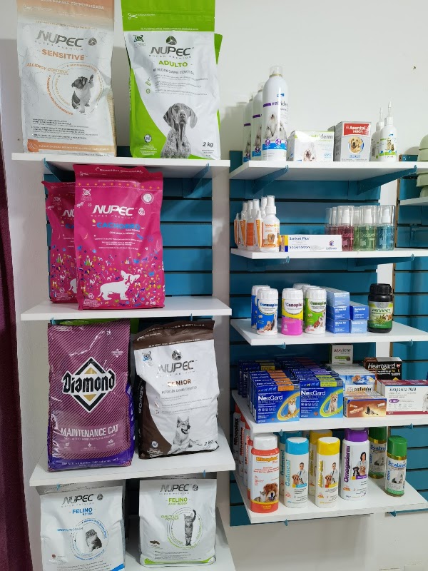 Animaux Villahermosa — Etología clínica y conducta animal en Villahermosa
