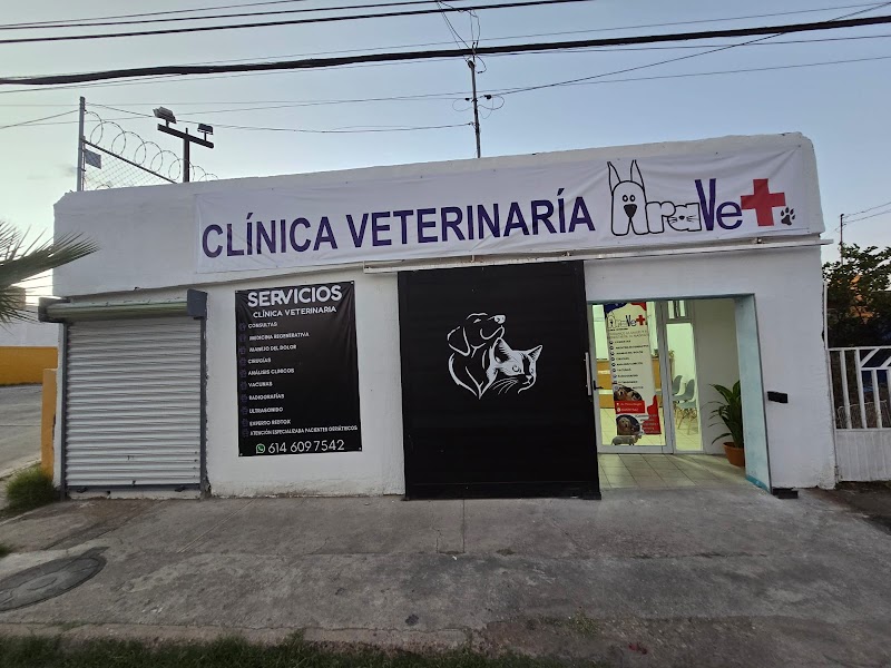 AraVet — Medicina aviar en Chihuahua