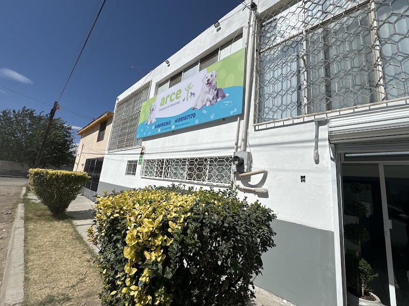 Arce Hospital de Mascotas