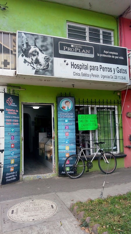 Área Veterinaria