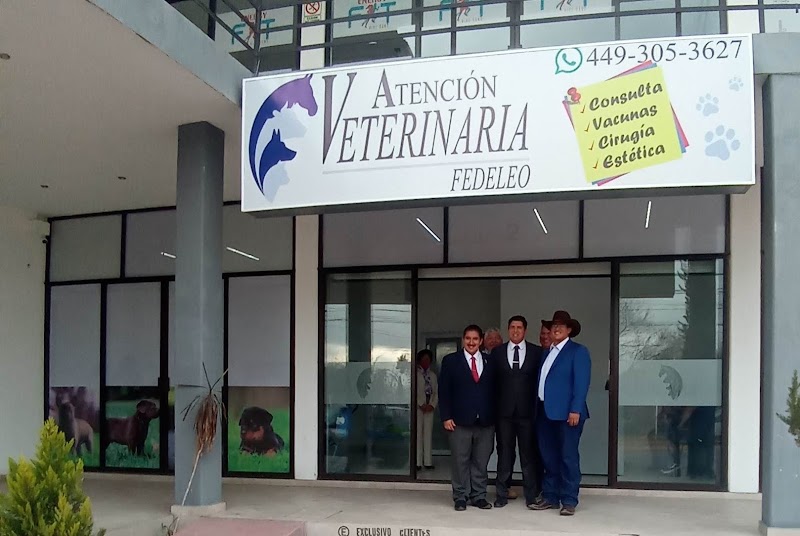 Atención Veterinaria FEDELEO