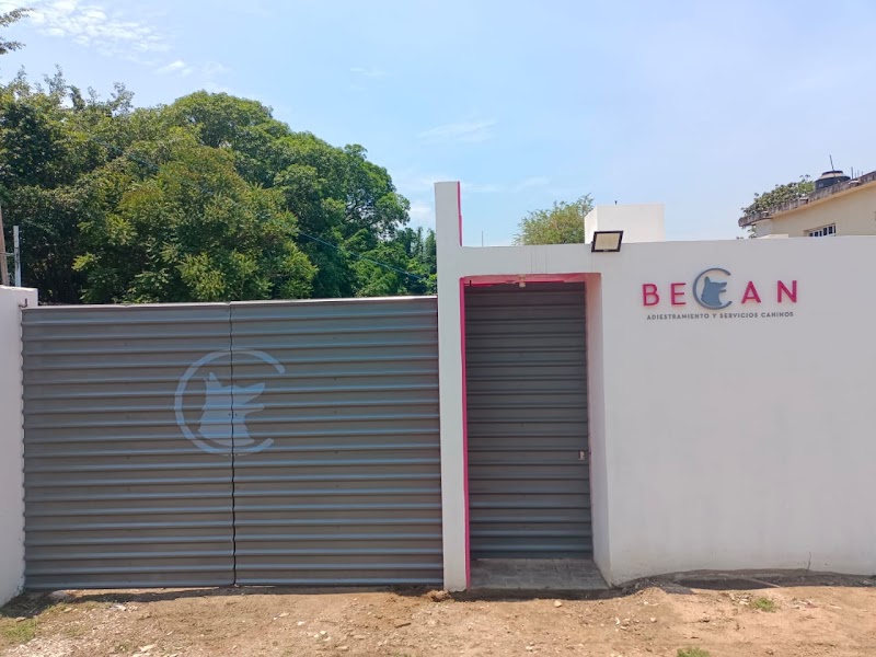 BECAN ️
