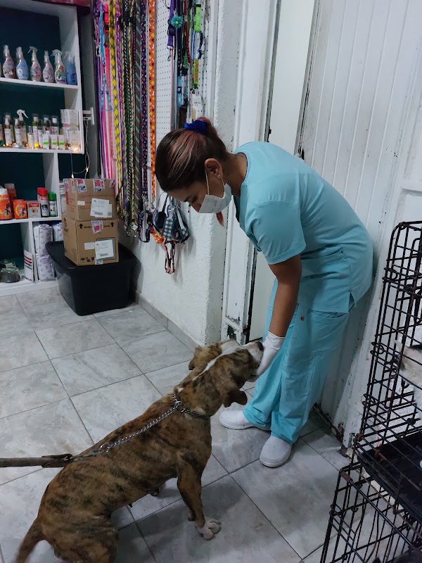 Biopets Veterinaria