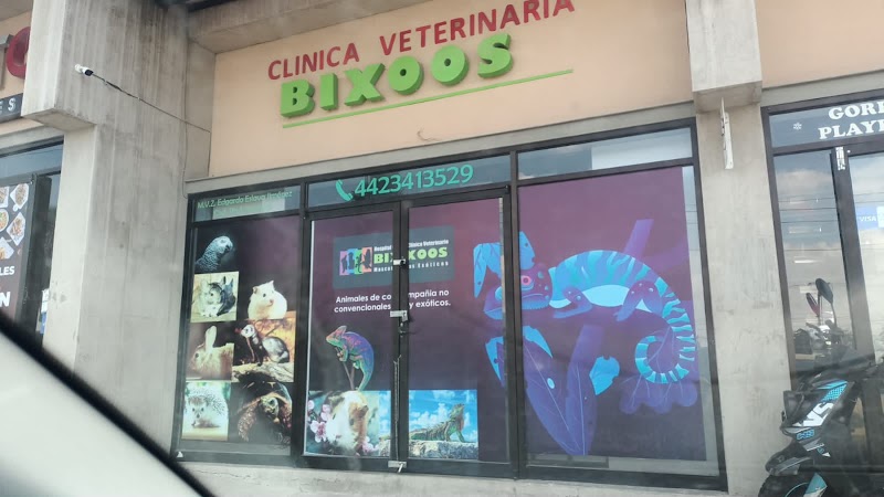Bixoos. Hospital Clínico Veterinario. Mascotas/ Exóticos