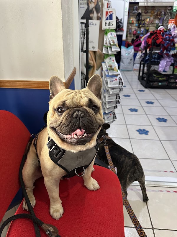 Cabo Pet Hospital