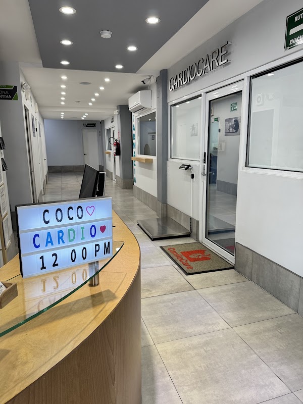 CardioCare Cardiología Veterinaria