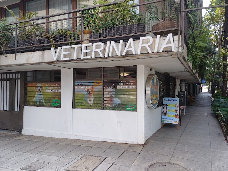 Cardiología Veterinaria Condesa