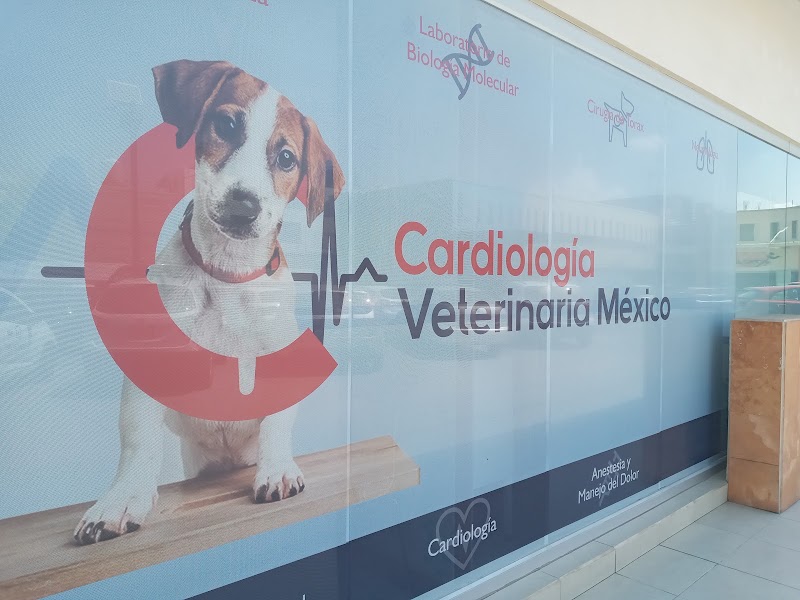 Cardiología Veterinaria México