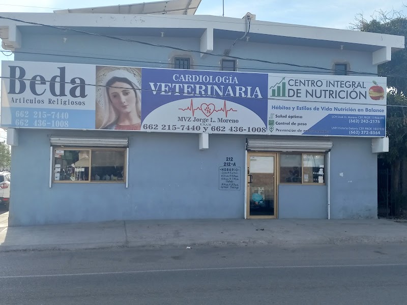 Cardiología Veterinaria