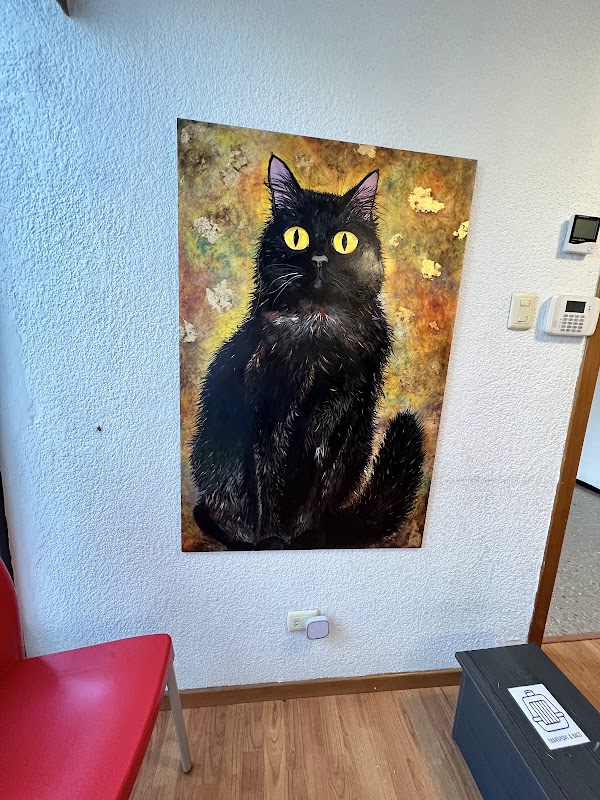 Cattoz Centro Clínico para pequeños felinos