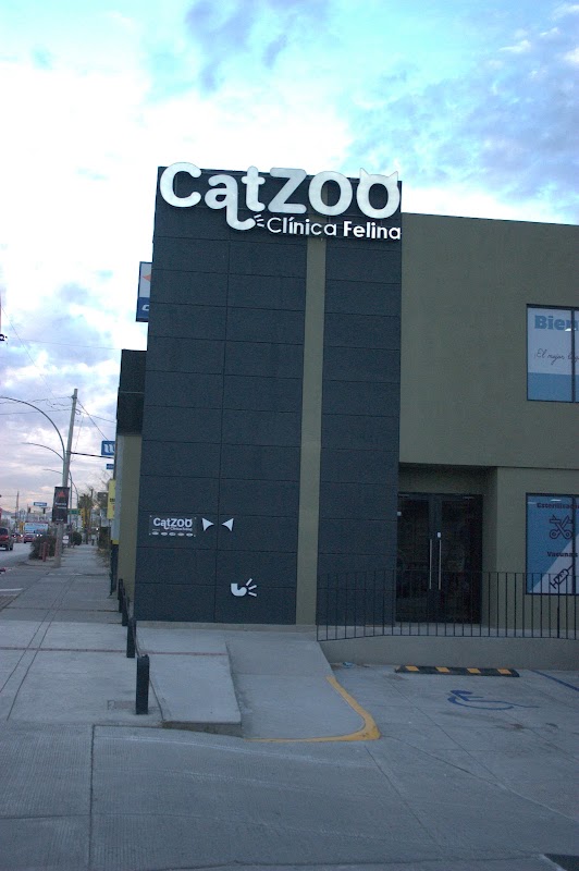 CatZoo Clinica Felina