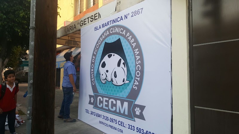 centro de ecografia clinica para mascotas
