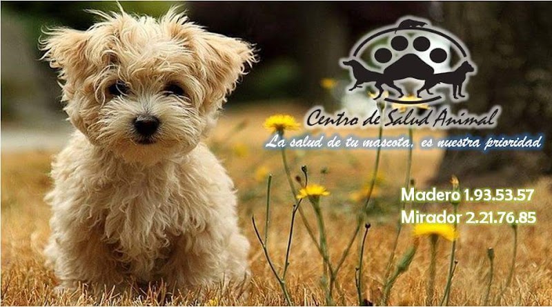 Centro de salud animal