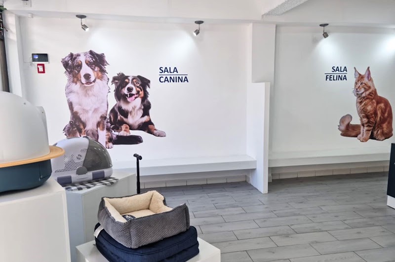 Centro Especializado en Medicina Veterinaria (CEMEV)
