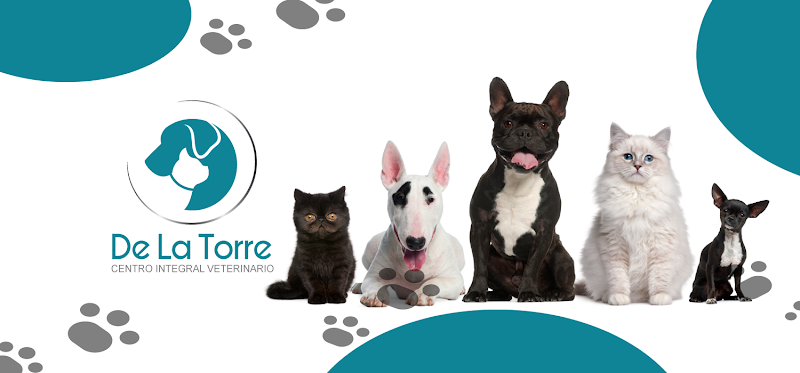 Centro Integral Veterinario De La Torre