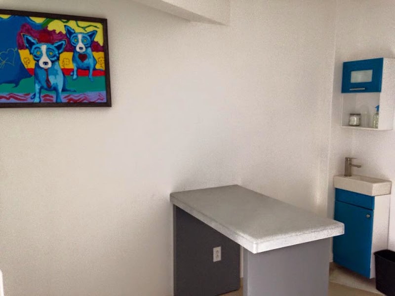 Centro Veterinario de Especialidades 24 Hrs