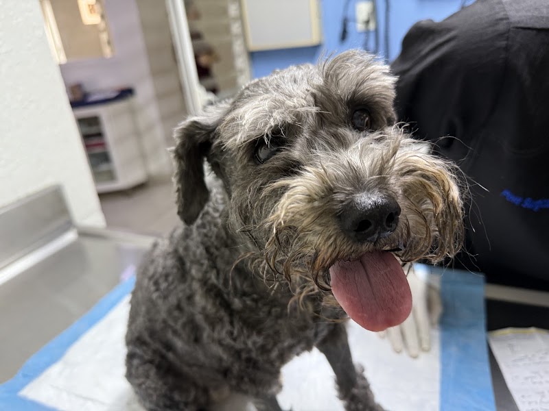 Centro Veterinario de Especialidades