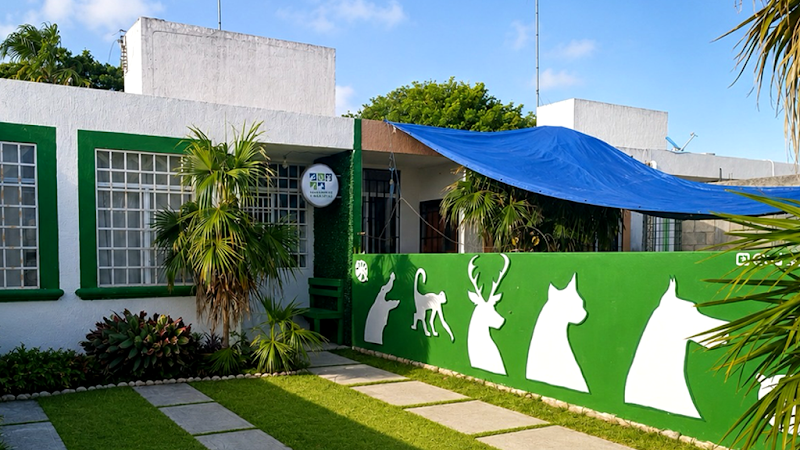 Centro Veterinario Fauna Silvestre y Mascotas