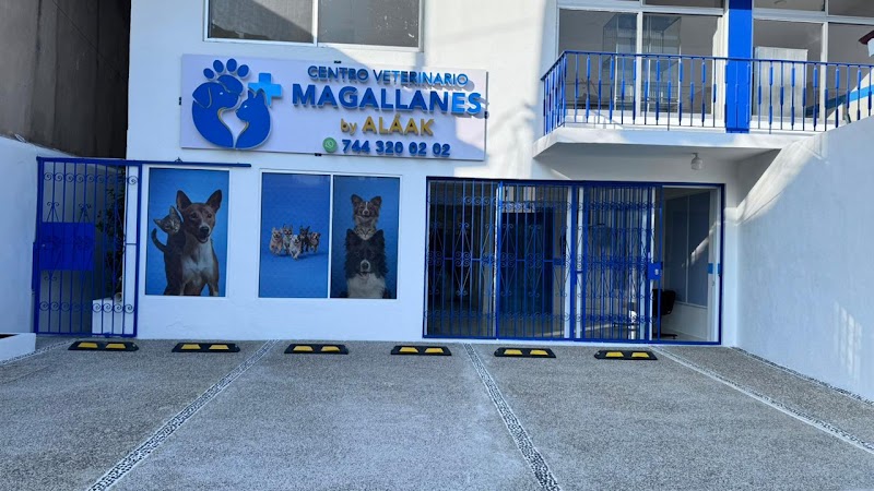 Centro Veterinario Magallanes by Aláak (CVMALÁAK)
