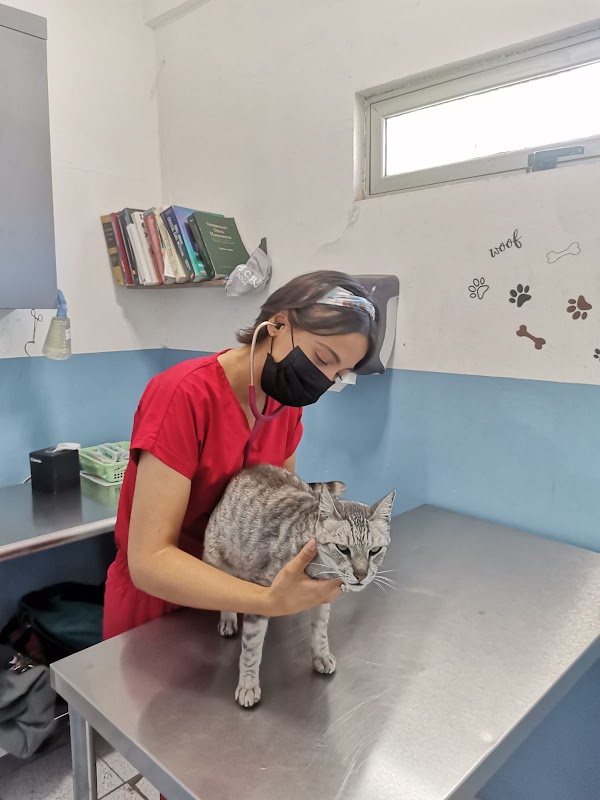Centro Veterinario San José