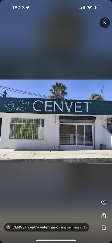CENVET centro veterinario