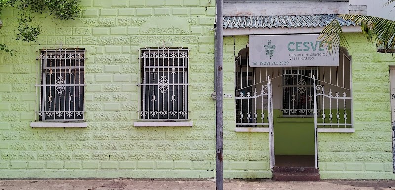 CESVET