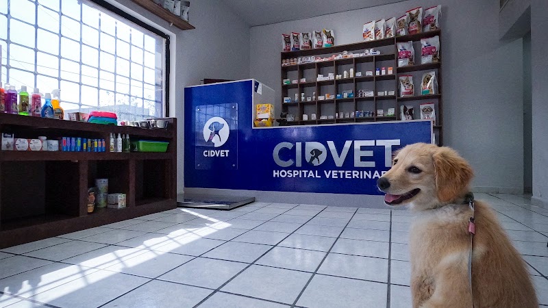 Cidvet Laguna