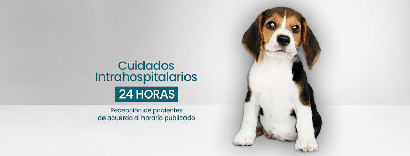 CIVE Veterinaria