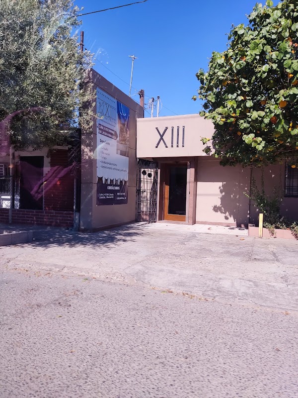 Clínica Felina XIII