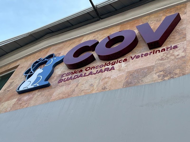 Clínica Oncológica Veterinaria Guadalajara (COV Guadalajara)