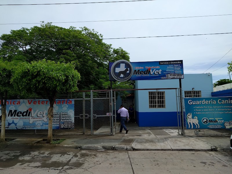 clinica Veterinaria 🐶🐶