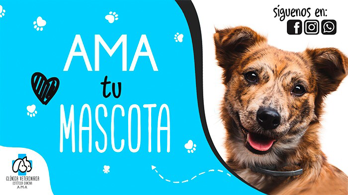 Clínica Veterinaria AMA