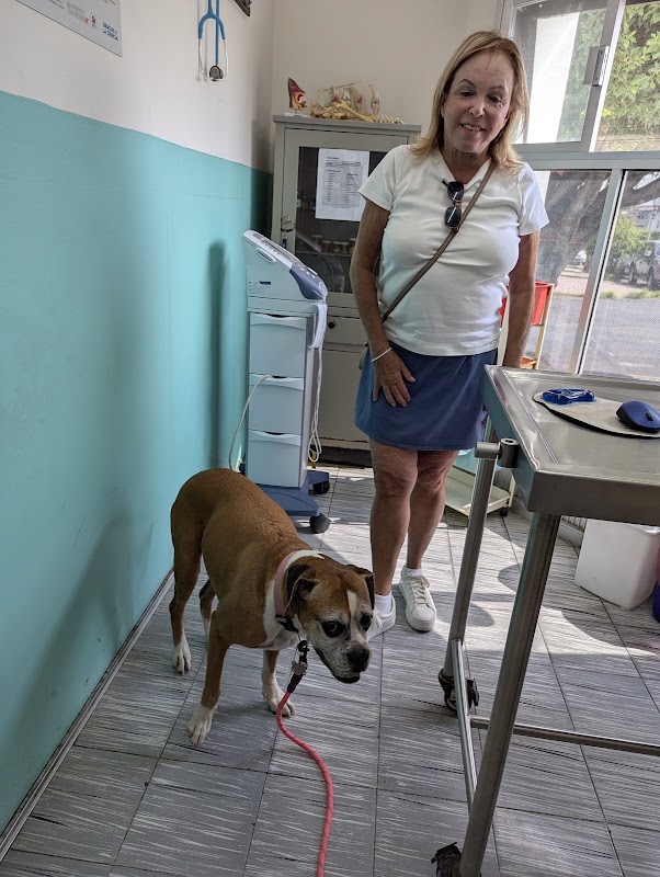 Clinica Veterinaria Animal Kingdom Suc.Porfirio