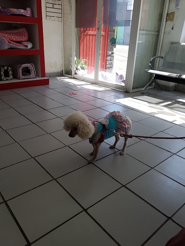 Clínica Veterinaria Animal´s