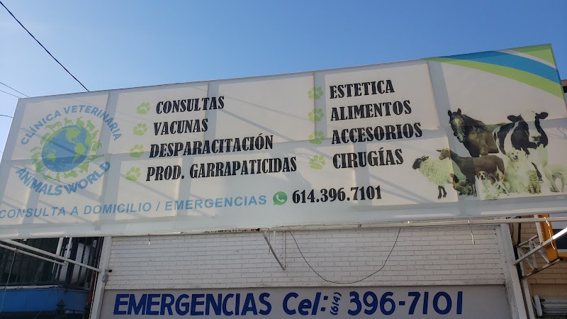 Clínica Veterinaria animals world
