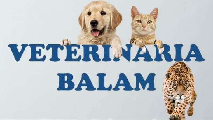 Clínica Veterinaria BALAM