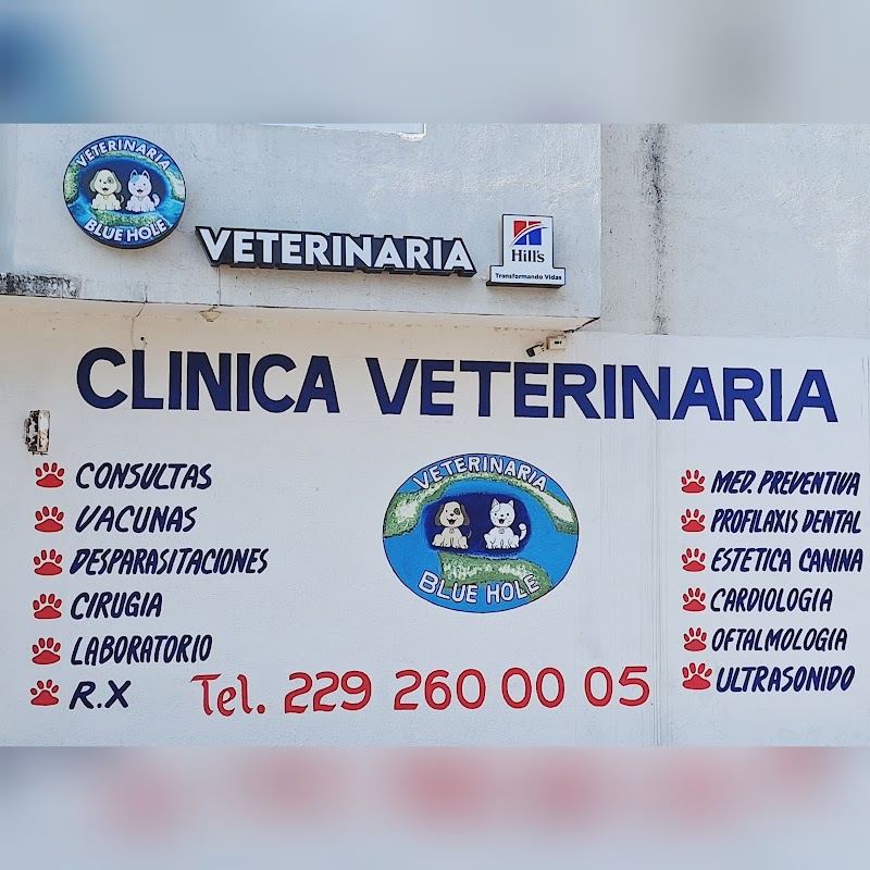 CLÍNICA VETERINARIA BLUE HOLE