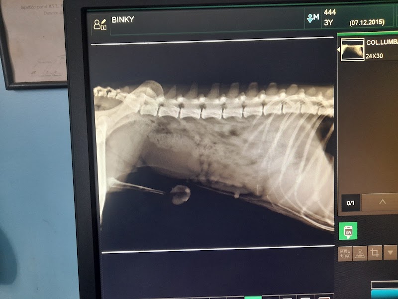 Clínica Veterinaria de Chiapas