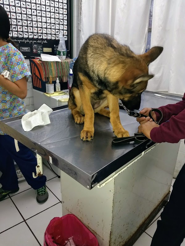 Clínica Veterinaria de Especialidad