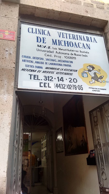 Clinica Veterinaria De Michoacan